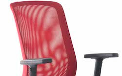 Gene Red Mesh