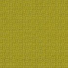 Splice Yellow