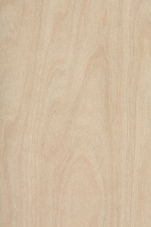 Melteca Raw Birchply