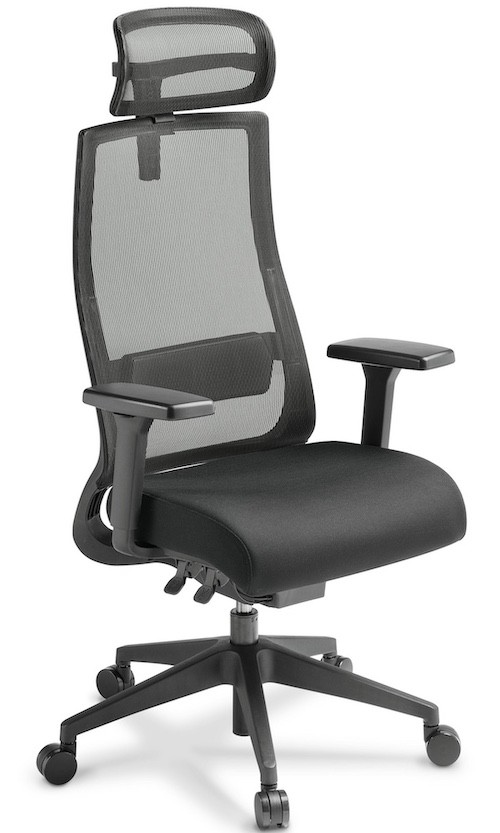 Joe Mesh Office Chair
