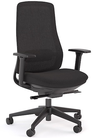 Ergonomic Lume Mesh Chair with nylon base and 15-year warranty for NZ business seating.