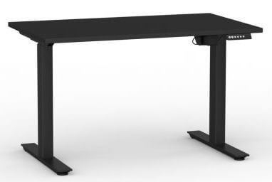 Electric Standing Desk